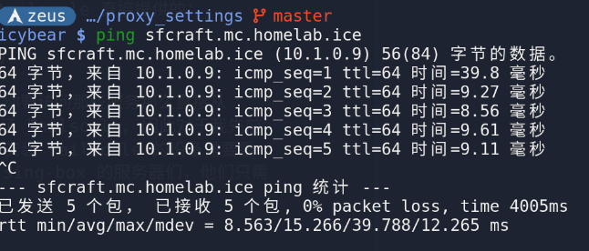 ping_sfcraft